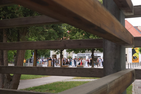 ZLATE PETICE 99z38 FOTO LJUBO VUKELIČ